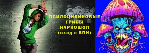 ГАЛЛЮЦИНОГЕННЫЕ ГРИБЫ Алзамай