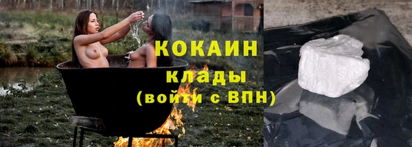 тгк Снежногорск