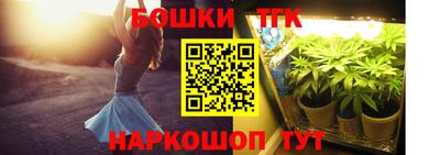 мдпв Бийск