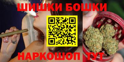 мдпв Бийск