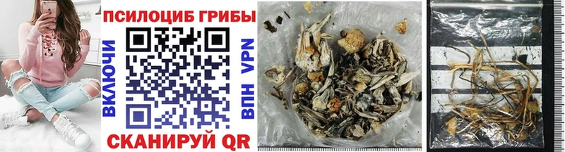 Галлюциногенные грибы Psilocybe как найти наркотики OMG зеркало Беслан