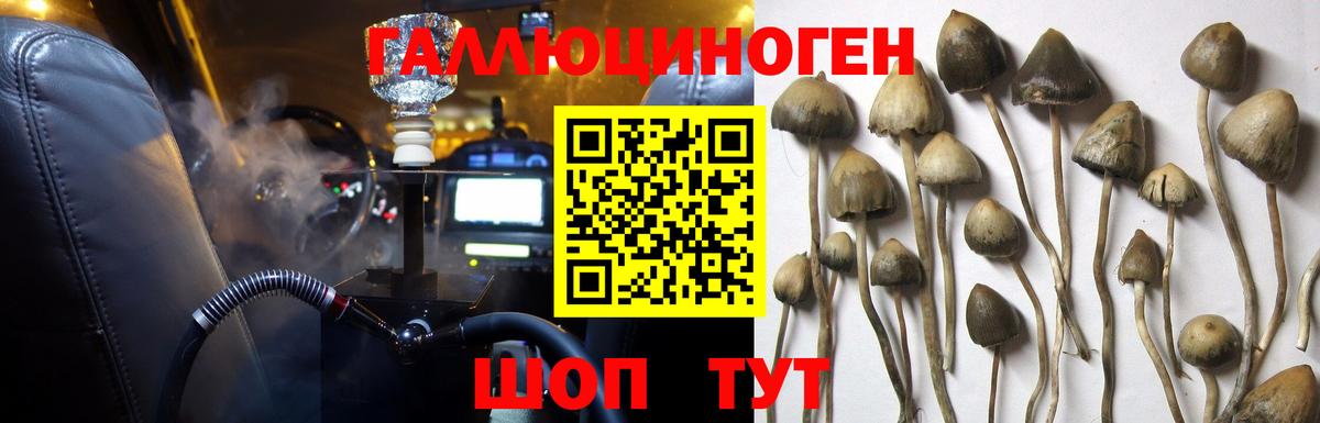 Псилоцибиновые грибы Magic Shrooms  Вход с VPN  Беслан  наркошоп  Псилоцибиновые грибы GOLDEN TEACHER 